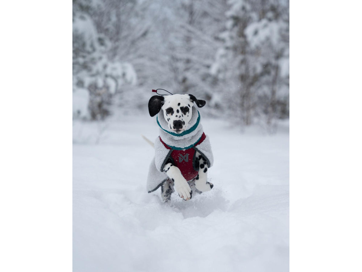 Non-stop dogwear Trekking fleece jacket fleecejakke – Svart/oransje – modellen vist i annen farge