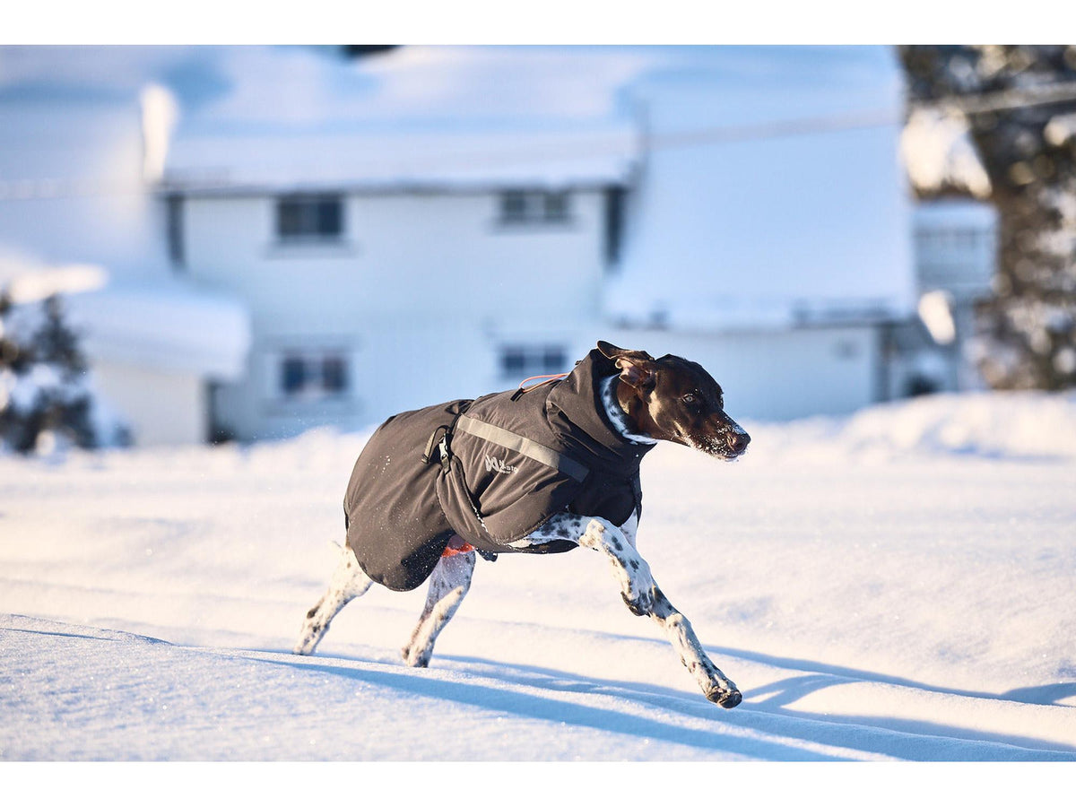 Non-stop dogwear Trekking insulated dog jacket varmejakke – Svart