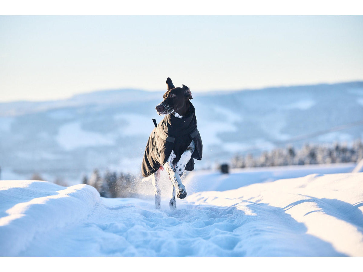 Non-stop dogwear Trekking insulated dog jacket varmejakke – Svart