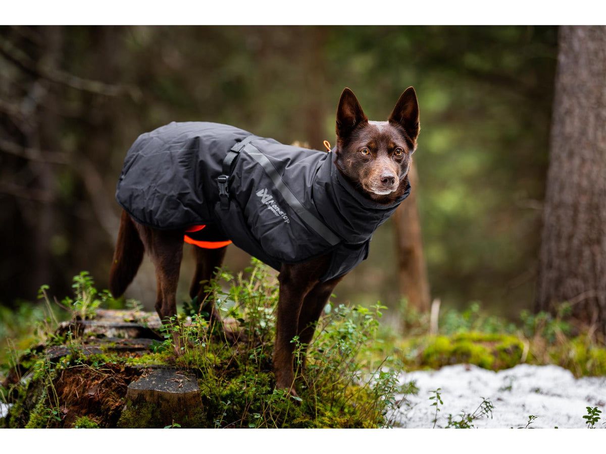 Non-stop dogwear Trekking insulated dog jacket varmejakke – Svart