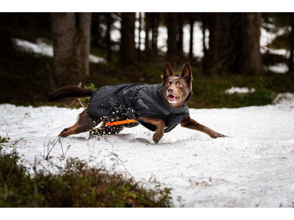 Non-stop dogwear Trekking insulated dog jacket varmejakke – Svart