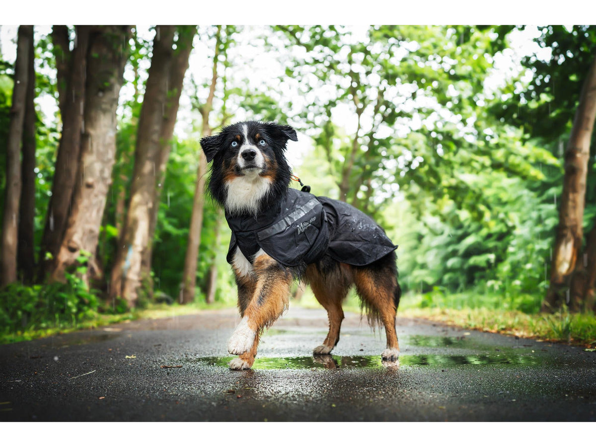 Non-stop dogwear Trekking raincoat regndekke – Svart