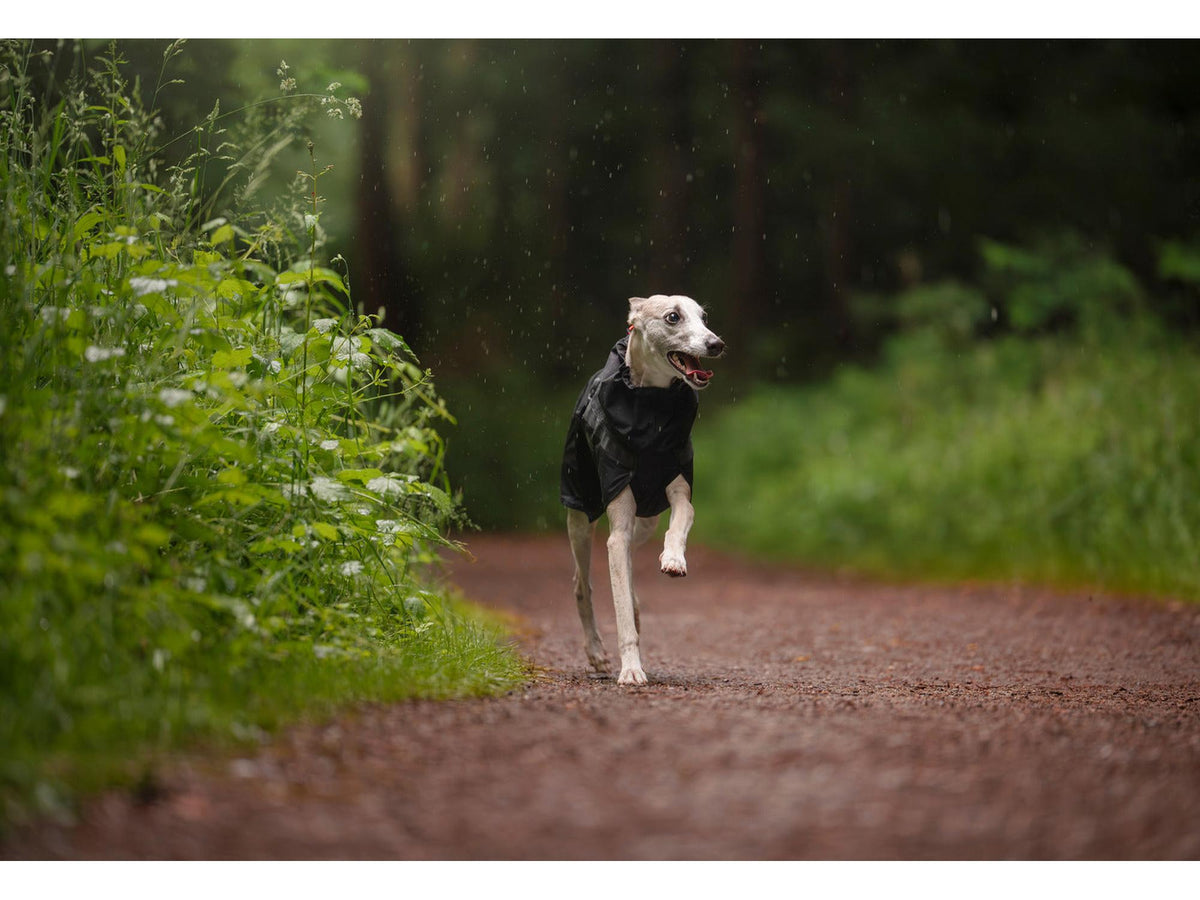 Non-stop dogwear Trekking raincoat regndekke – Svart