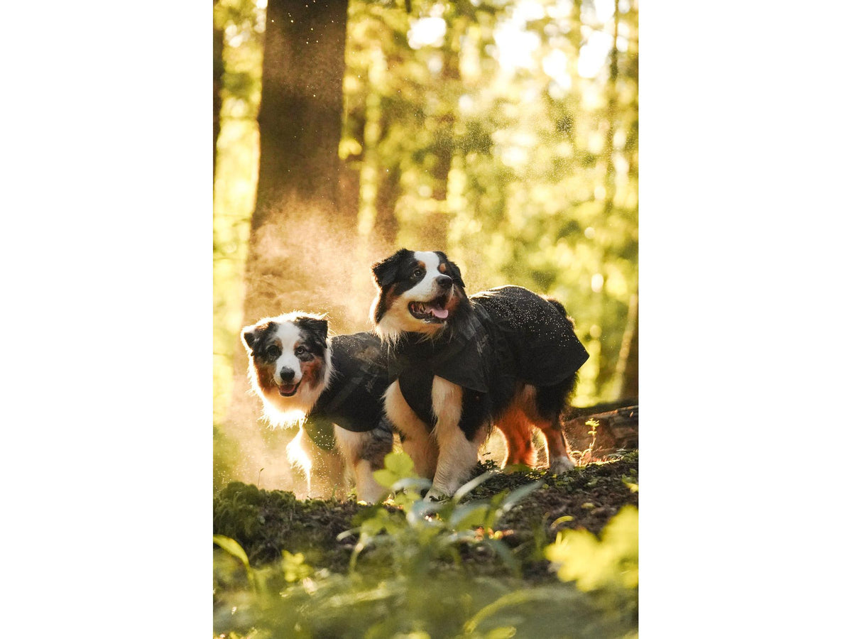 Non-stop dogwear Trekking raincoat regndekke – Svart