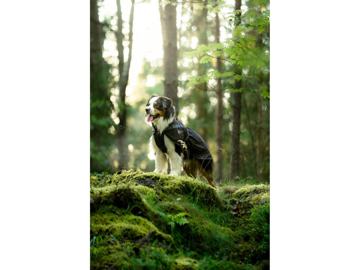 Non-stop dogwear Trekking raincoat regndekke – Svart