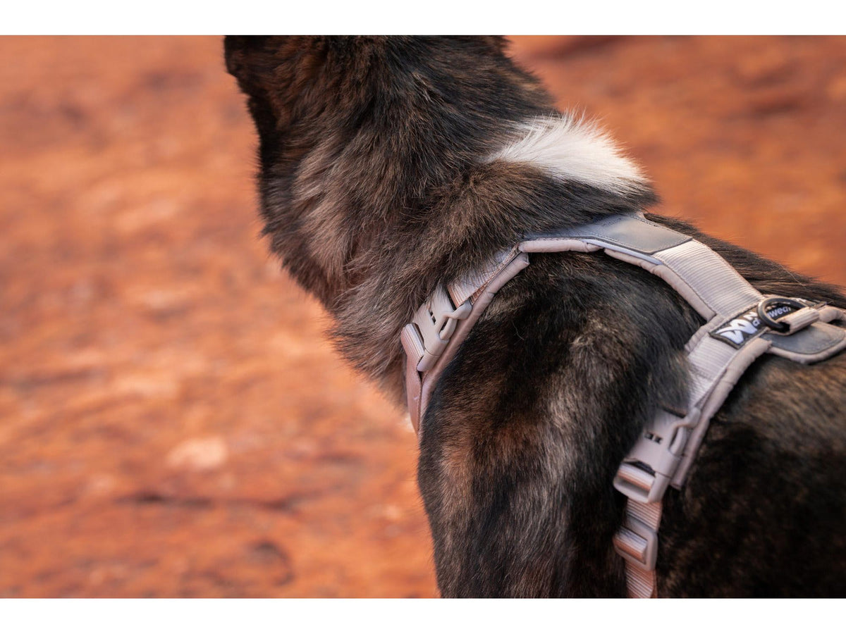 Non-stop dogwear Trekking line harness CLIP'N™ – Sand