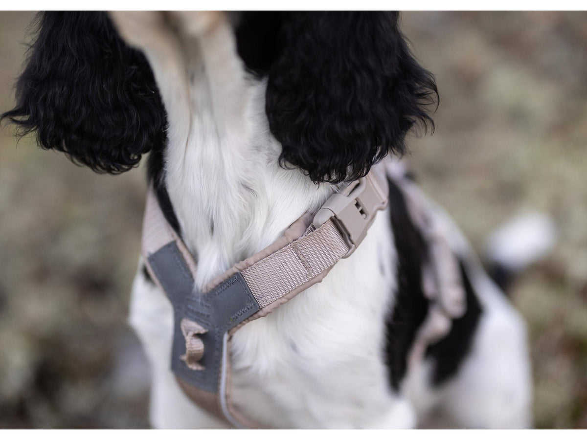 Non-stop dogwear Trekking line harness CLIP'N™ – Sand