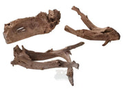 Trerot Mangrove Mango 60-80cm