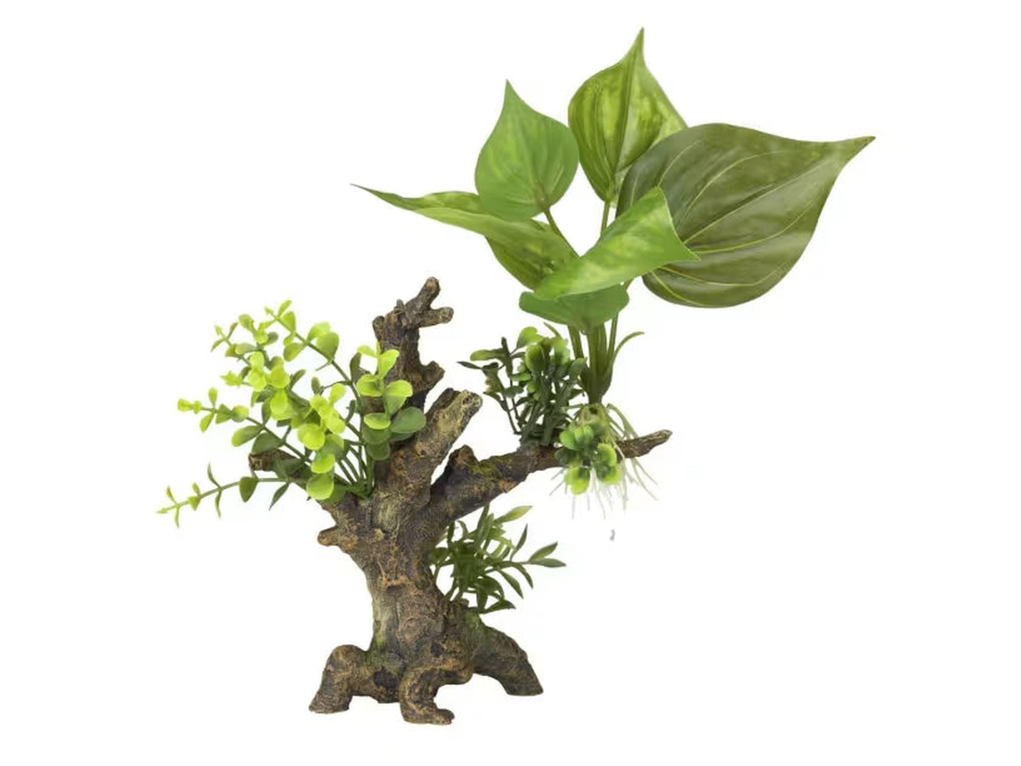 Trerot med planter Flora Scape 6 S, dekorativ akvarierot med grønne blader.