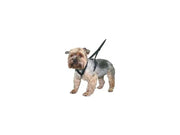 Trine Antitrekksele