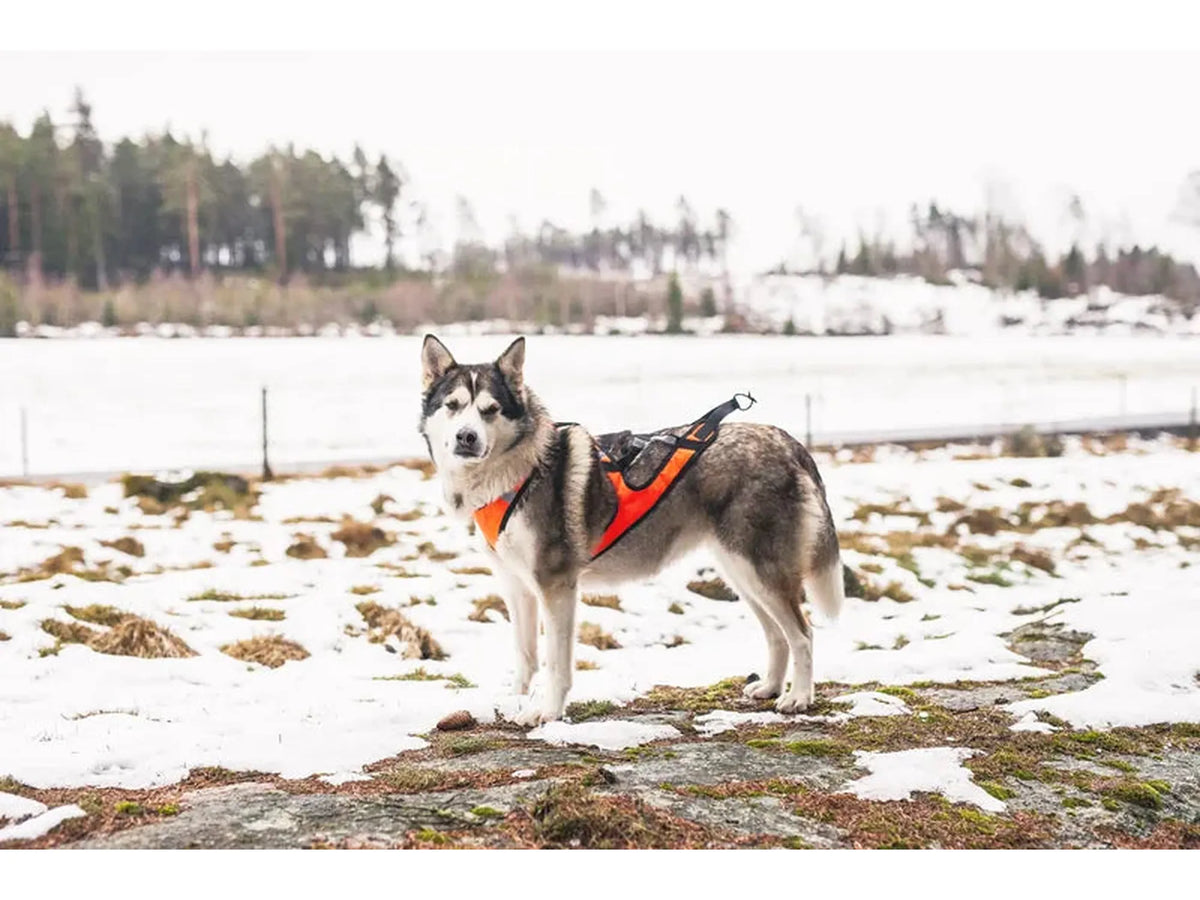 Trine Ski-sele – Oransje