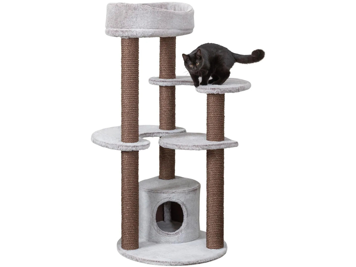 Trixie Afonso klorestativ i grå og brun sisal med flere nivåer, hule og en svart katt.