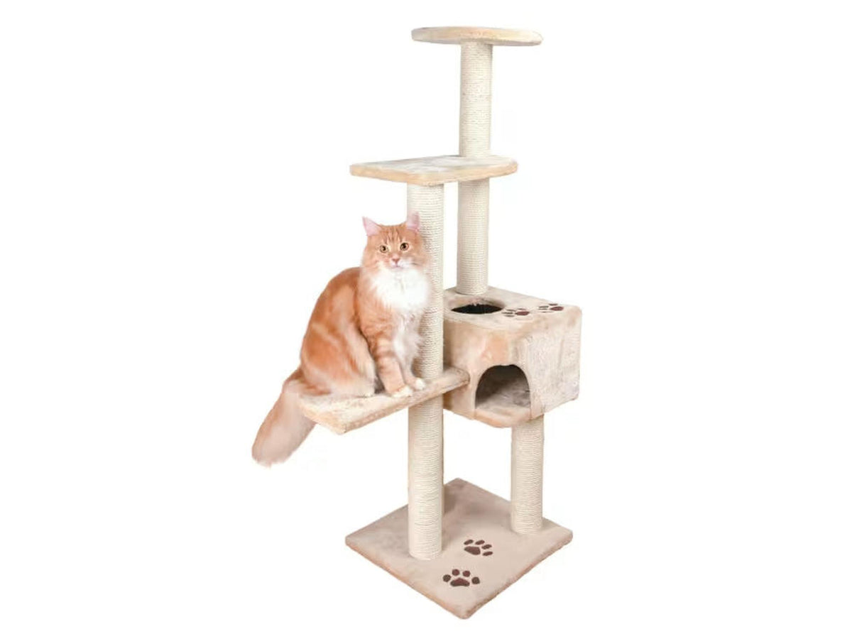 Trixie Alicante kattemøbel i beige med sisal klorestolper, huler, plattformer og en rød katt.