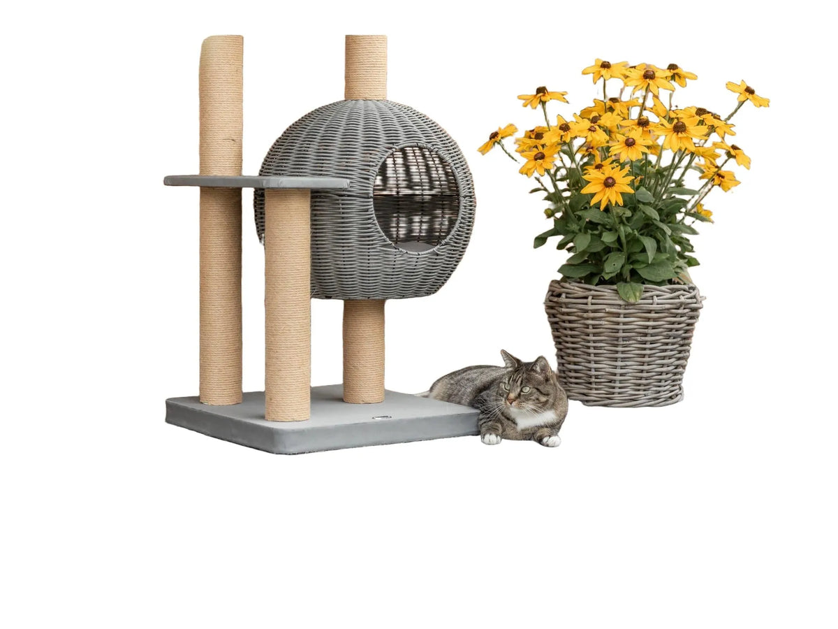 Grått Trixie Amalia utendørs kloretre med polyrattan-hule, jute-stolper og en katt.