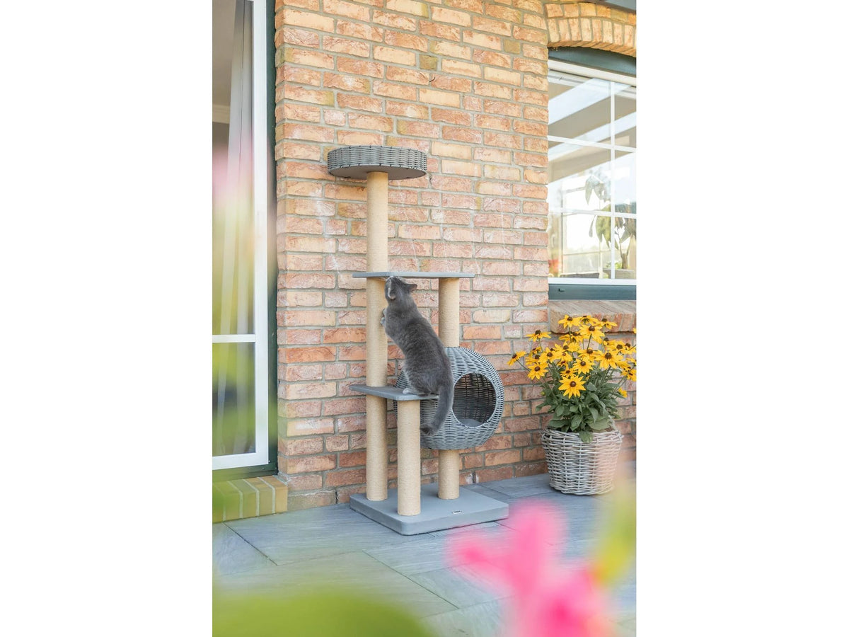 Grått Trixie Amalia utendørs kloretre med polyrattan-hule, koseseng og en katt som klatrer.