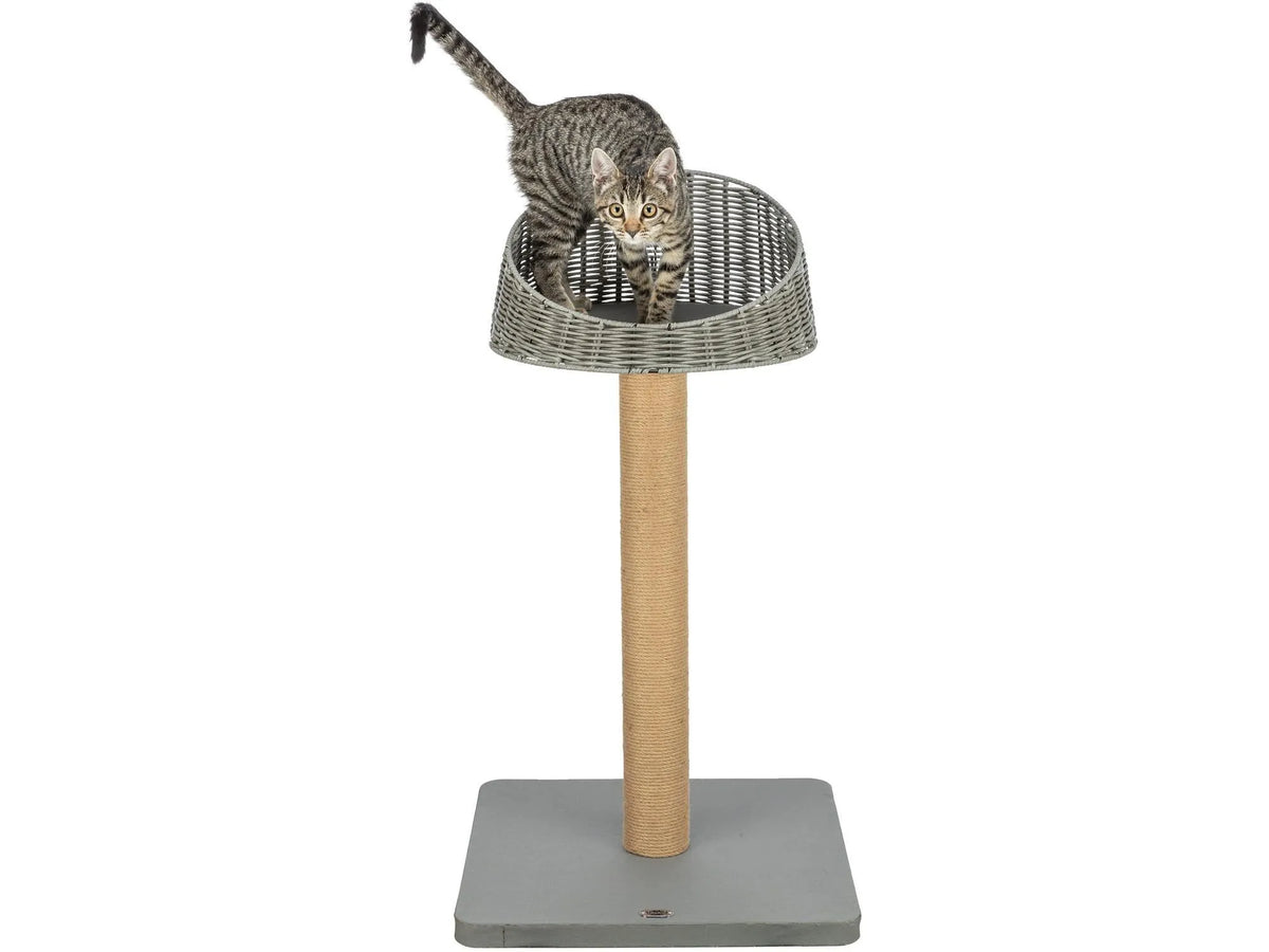 Grått Trixie Amalia utendørs kloretre med polyrattan liggeplass og jute klorestolpe, med en katt.