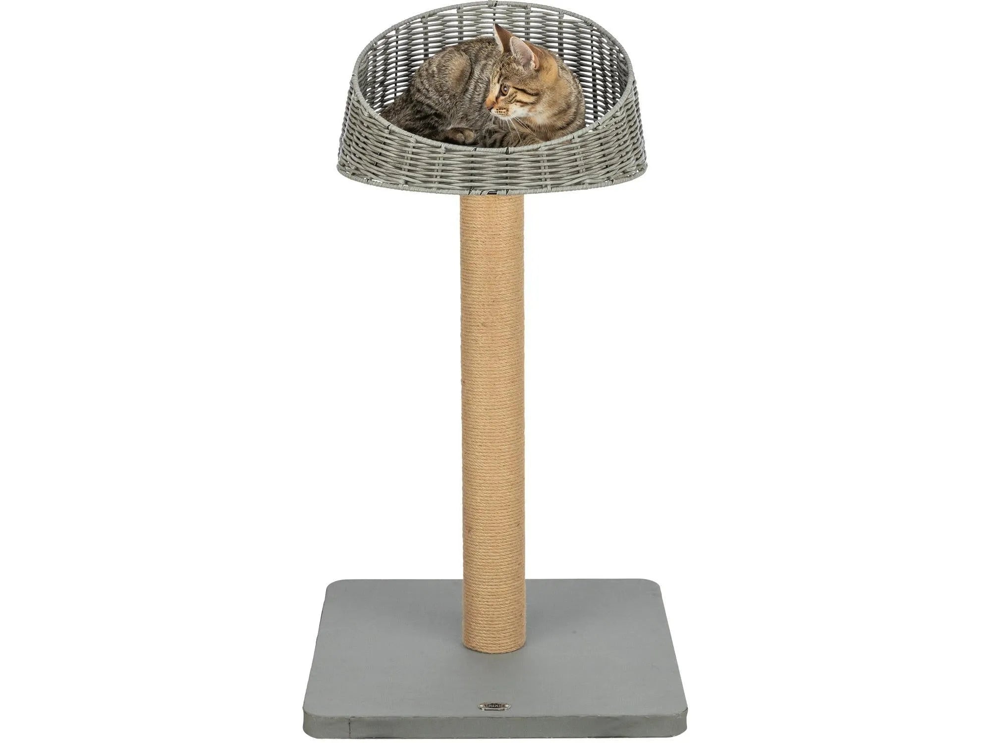 Grått Trixie Amalia utendørs kloretre med liggeplass i polyrattan, jutestolpe og en katt som hviler.