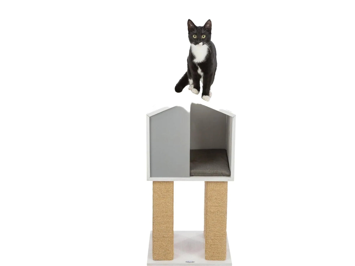 Trixie Be Nordic Jonte klorestativ i hvitt og grått med sisalstolper, flere nivåer og en svart-hvit katt.