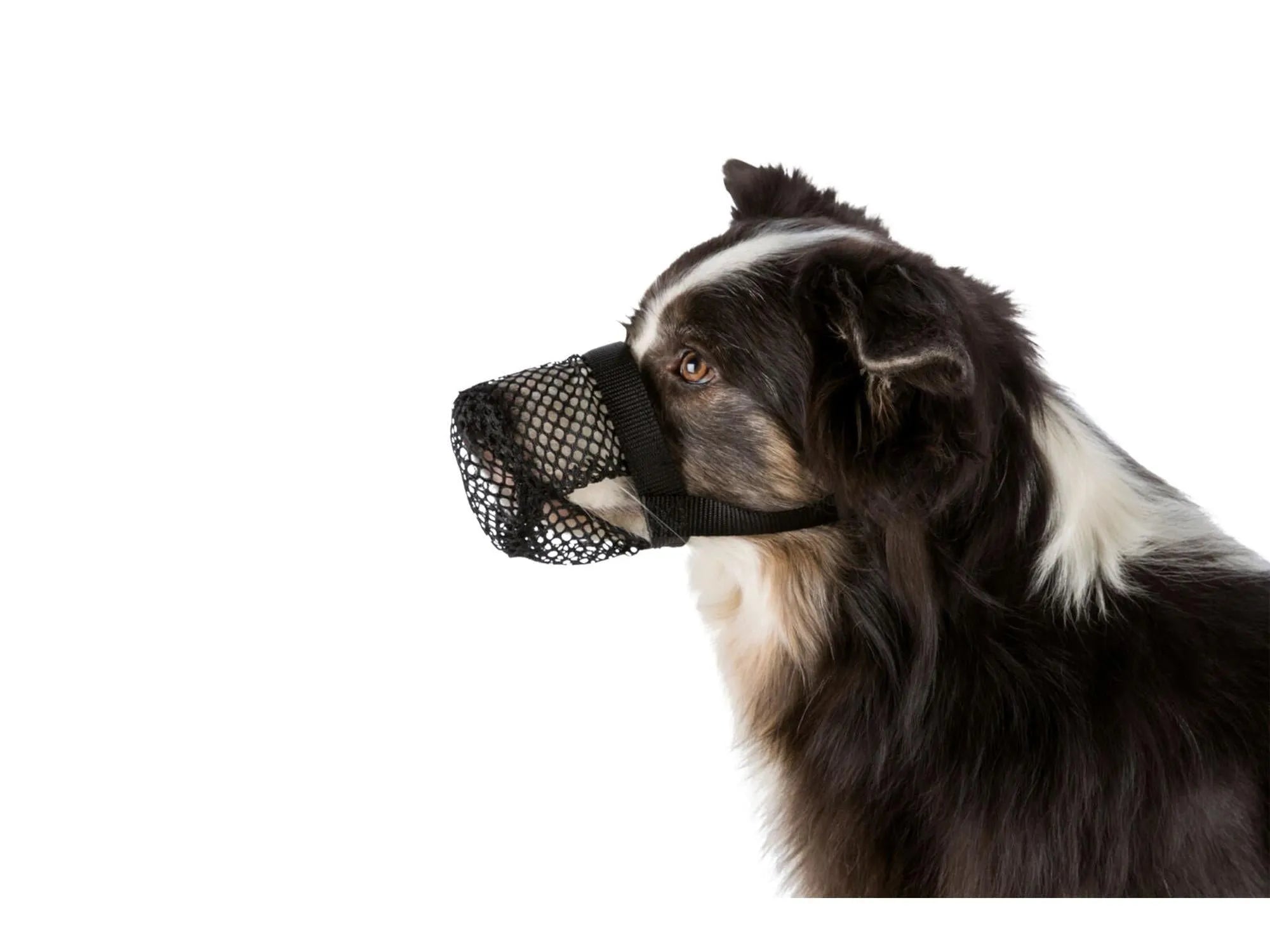 Trixie Beskyttelseskurv Netting kurv munnkurv til hund