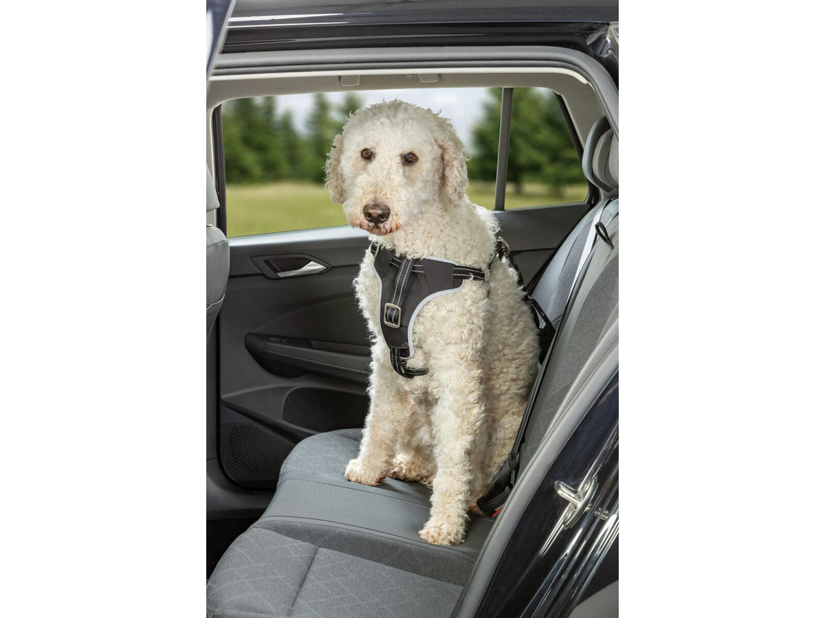 Trixie Bilsele Comfort S–M 40–55 cm – Sort