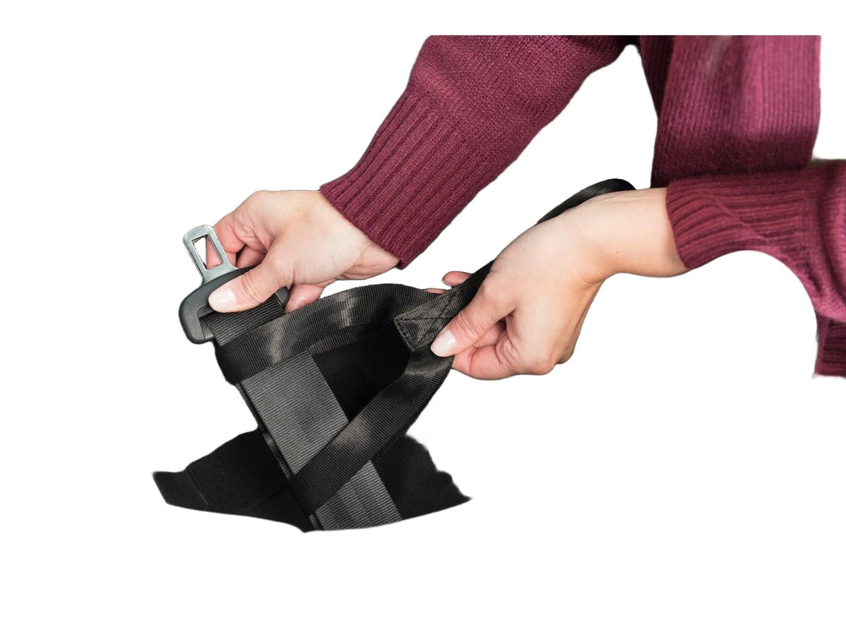 Person fester et svart Trixie hundebilsete med beltefeste, sort/grå nylon og plysj, for små hunder opptil 8kg.