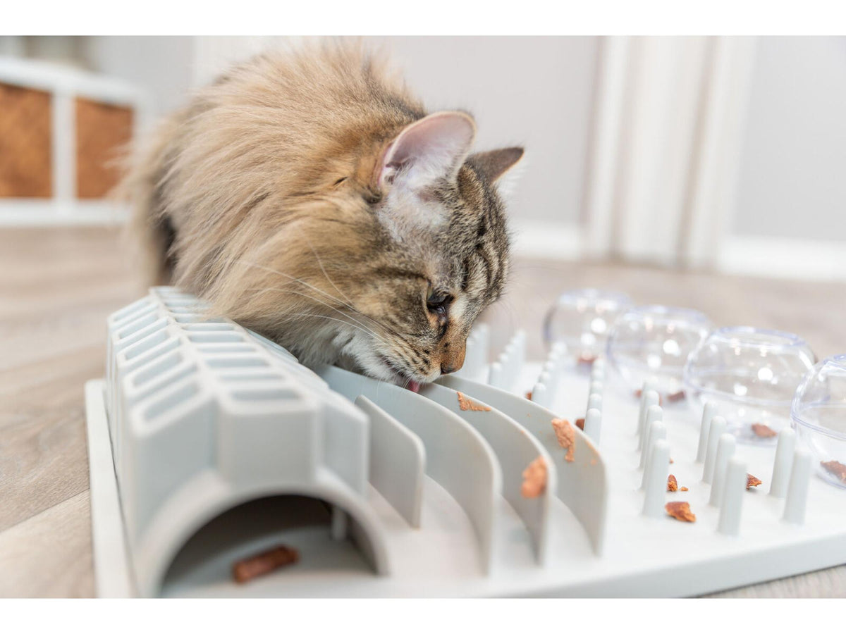 Trixie Cat Activity Fun Board – Aktivitetsbrett 30 × 40 cm