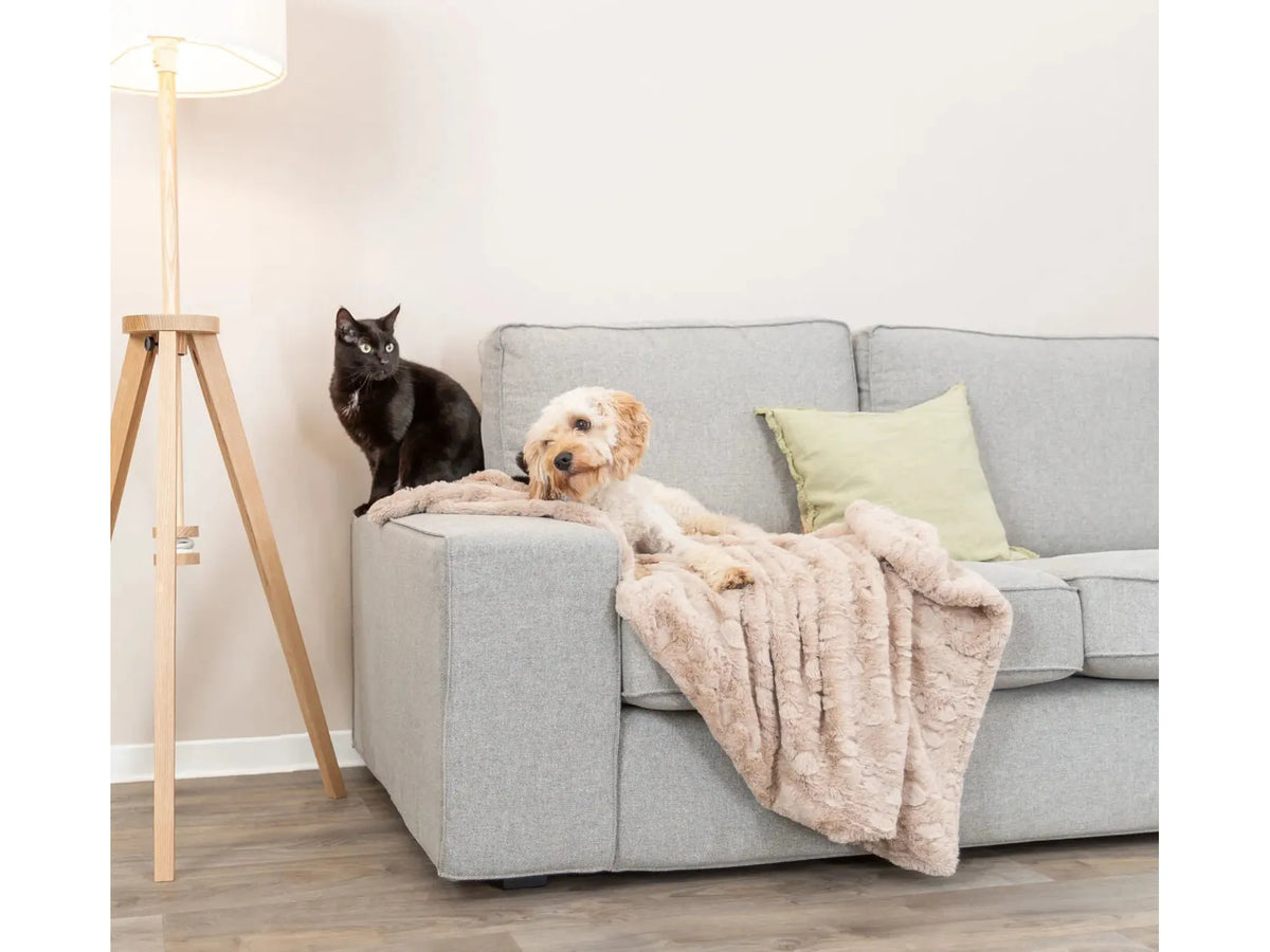 Trixie Cosy Hundeteppe Softplysj Beige