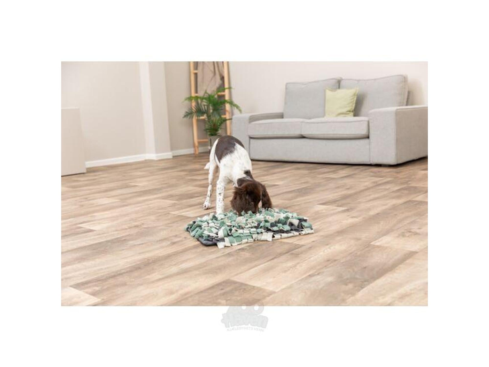 Trixie Dog Activity Snuseteppe 50x34 cm – Level 1