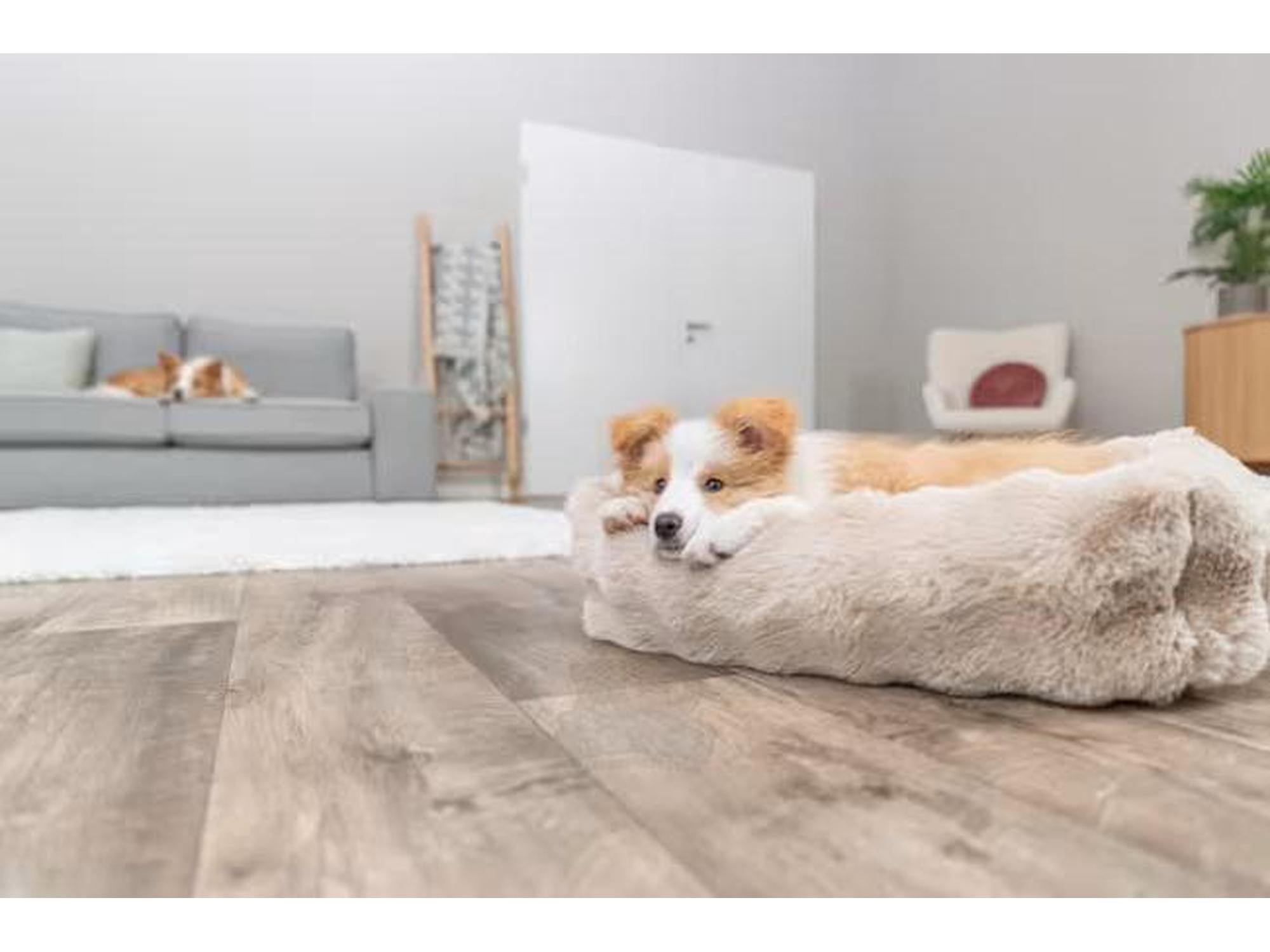 Trixie Elli Hundeseng og Katteseng Sand