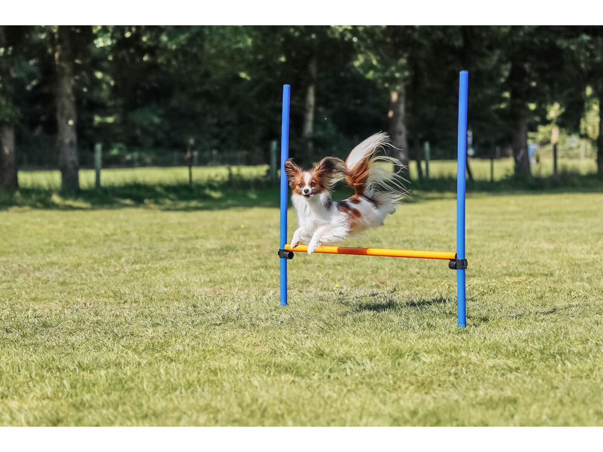 Trixie Fun Agility Hinder – Justerbar høyde