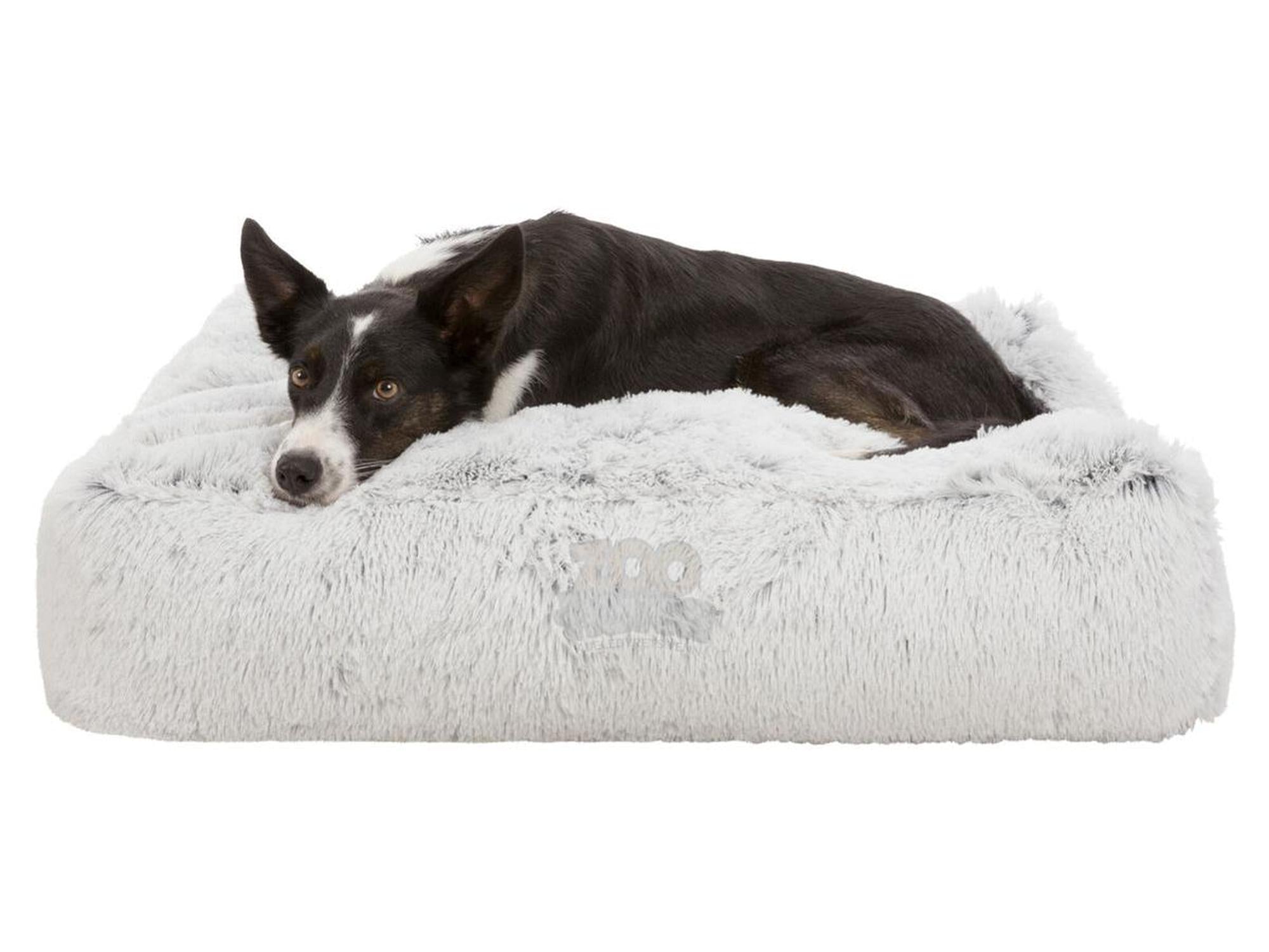 Trixie Harvey Hundeseng
