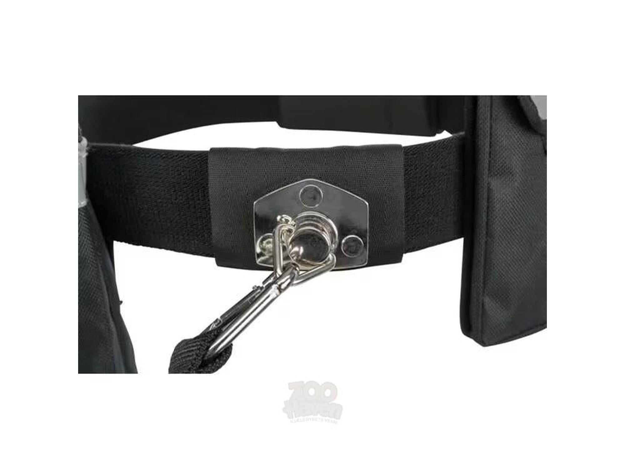 Trixie Joggeline 1275 – Joggebelte med Elastisk Line til Hund (M–L, opptil 40 kg)