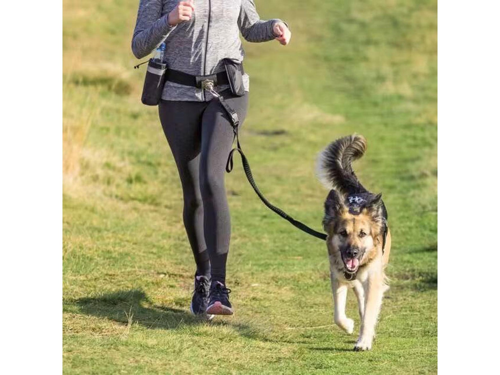 Kvinne jogger med hund i Trixie Joggeline 1275, et svart midjebelte med elastisk line.