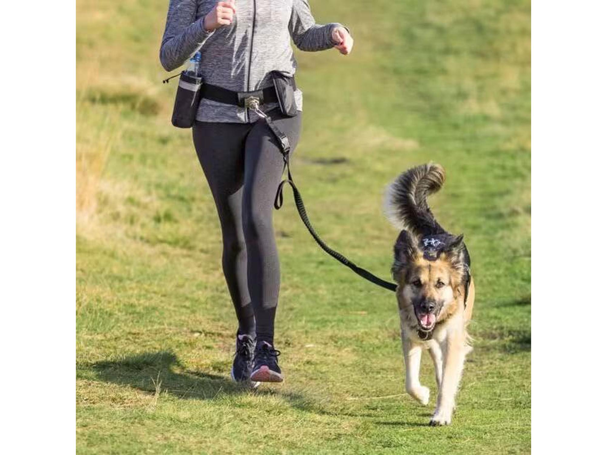 Kvinne jogger med hund i Trixie Joggeline 1275, et svart midjebelte med elastisk line.