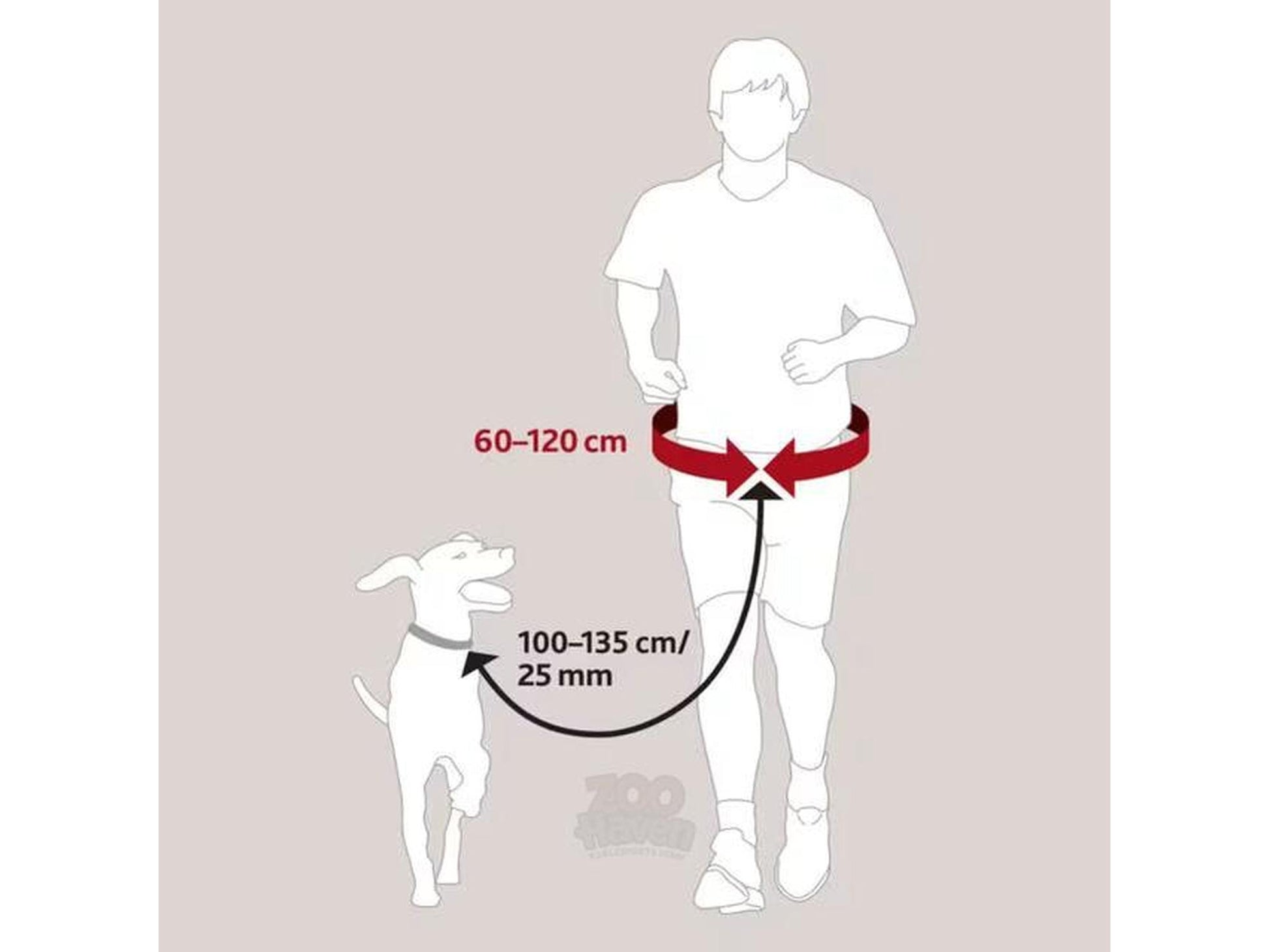 Illustrasjon av person som jogger med hund, koblet til et rødt midjebelte og elastisk line.