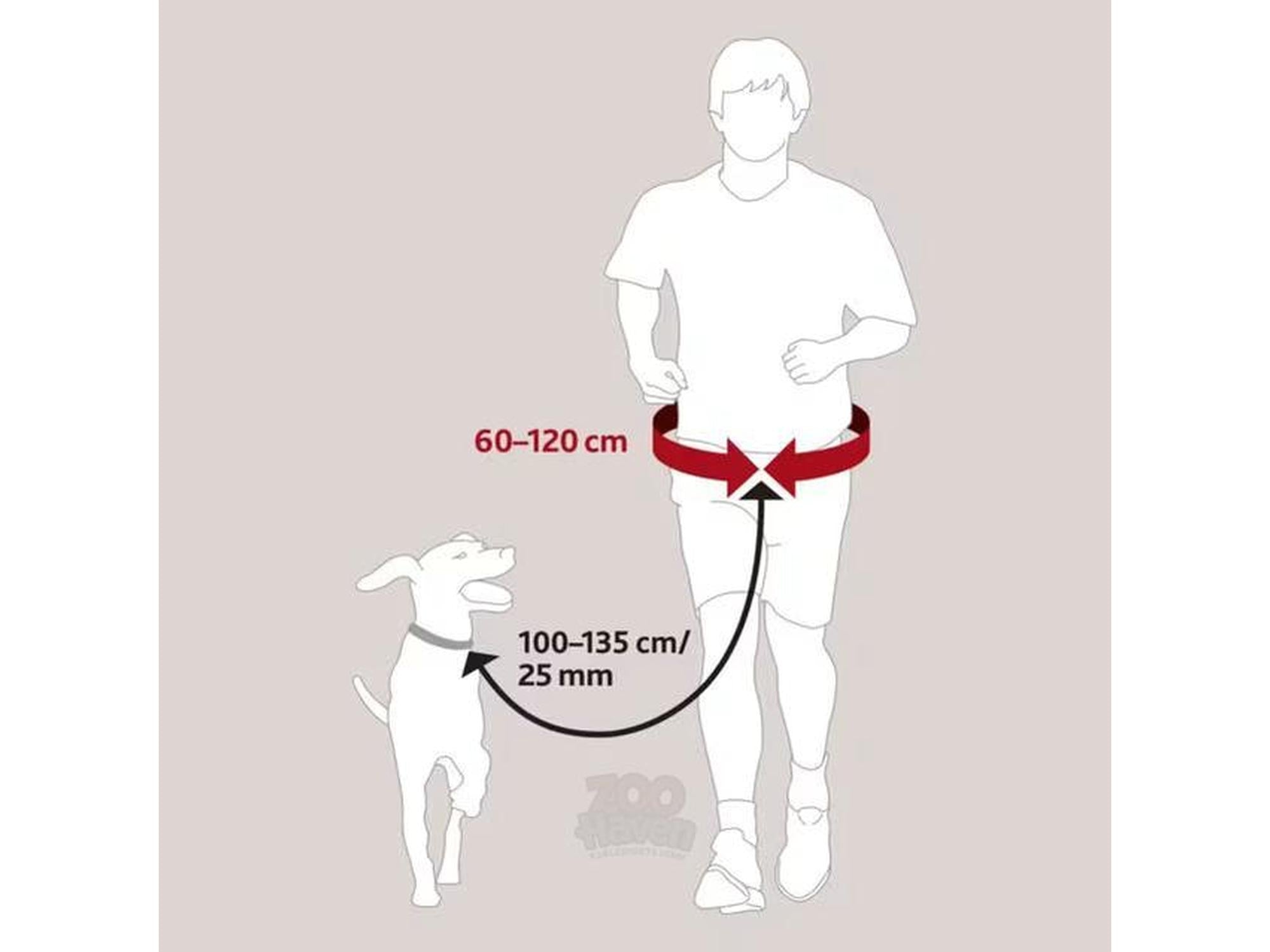 Illustrasjon av person som jogger med hund, koblet til et rødt midjebelte og elastisk line.