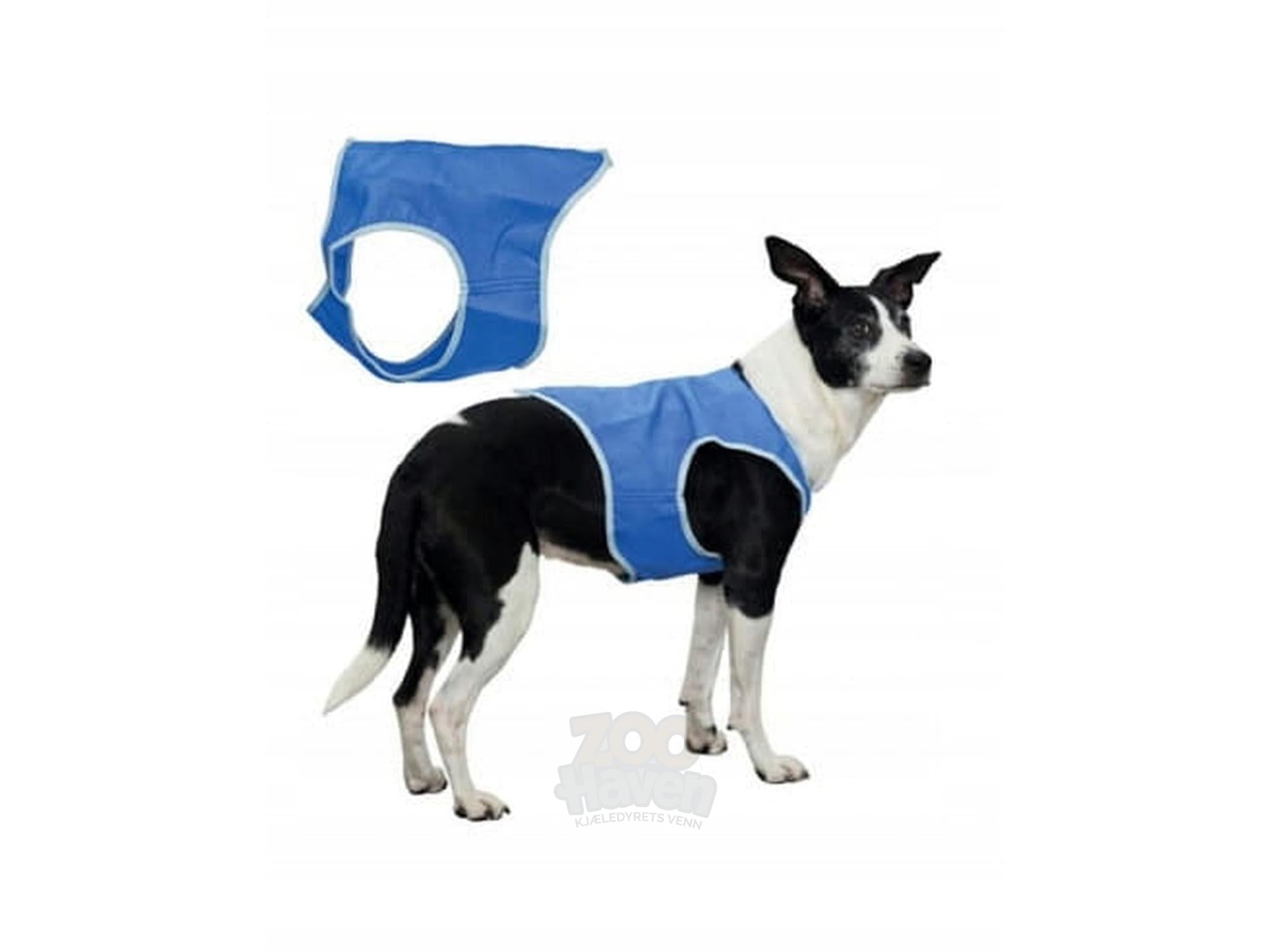 Blå Kjølevest XL i PVA-materiale på en svart-hvit hund, med en ekstra vestdel ved siden av.