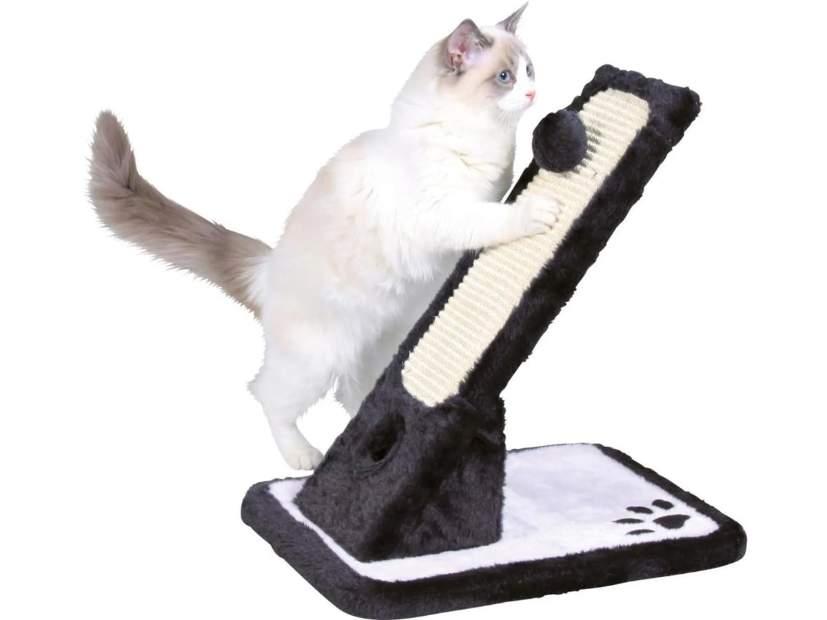 Hvit katt klore på et svart og hvitt Trixie klorebrett med sisaloverflate og leketøy.