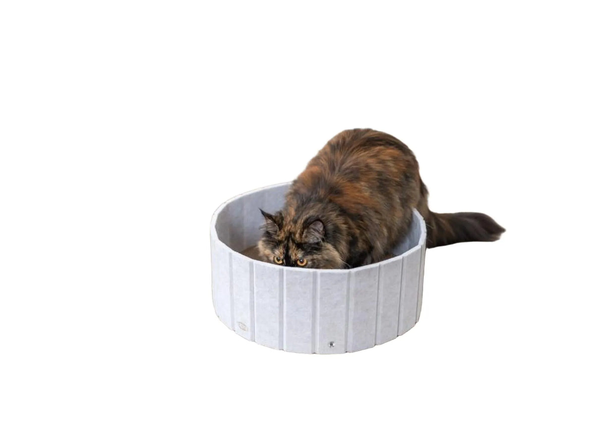 En langhåret skilpaddefarget katt i en rund, grå Trixie kradseseng med filtkant på et tregulv.