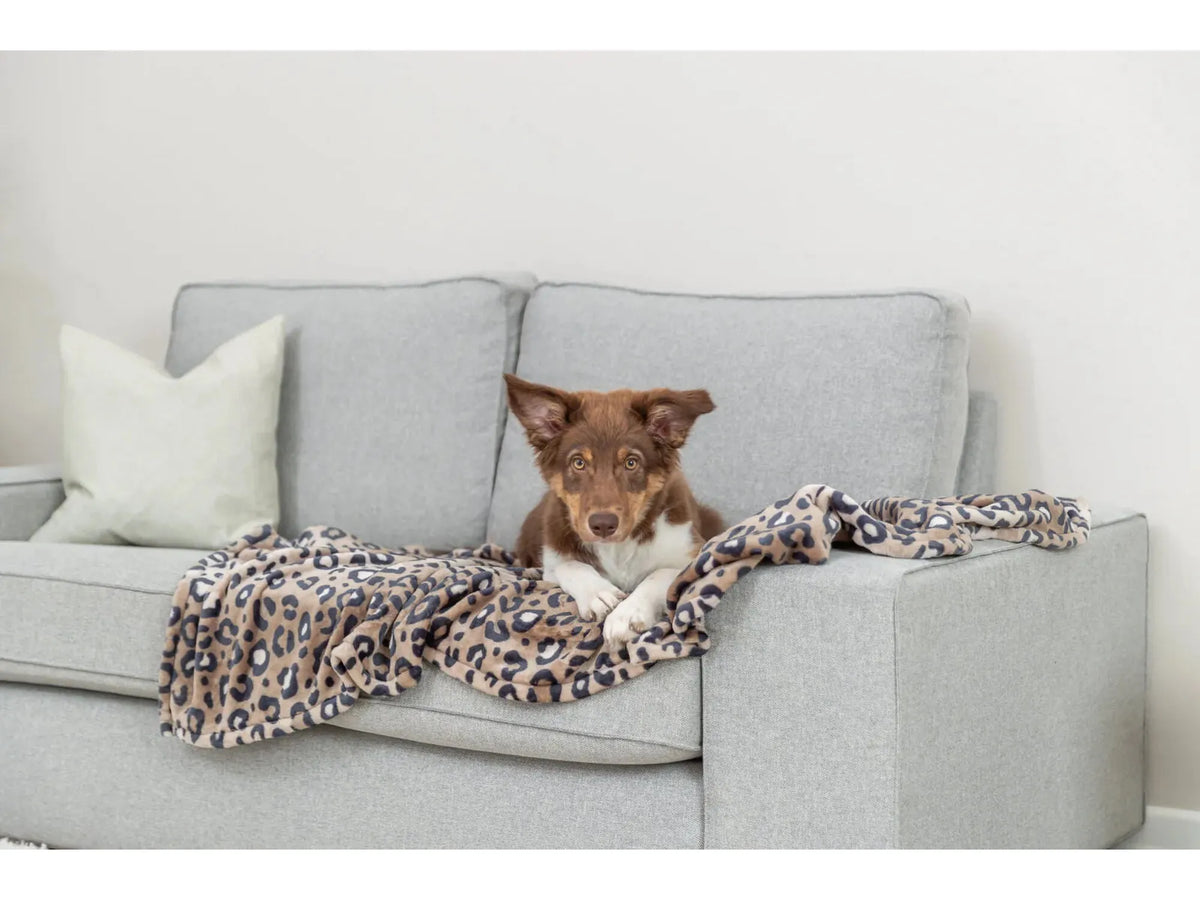 Trixie Leo Teppe Softplysj Leopard Brun