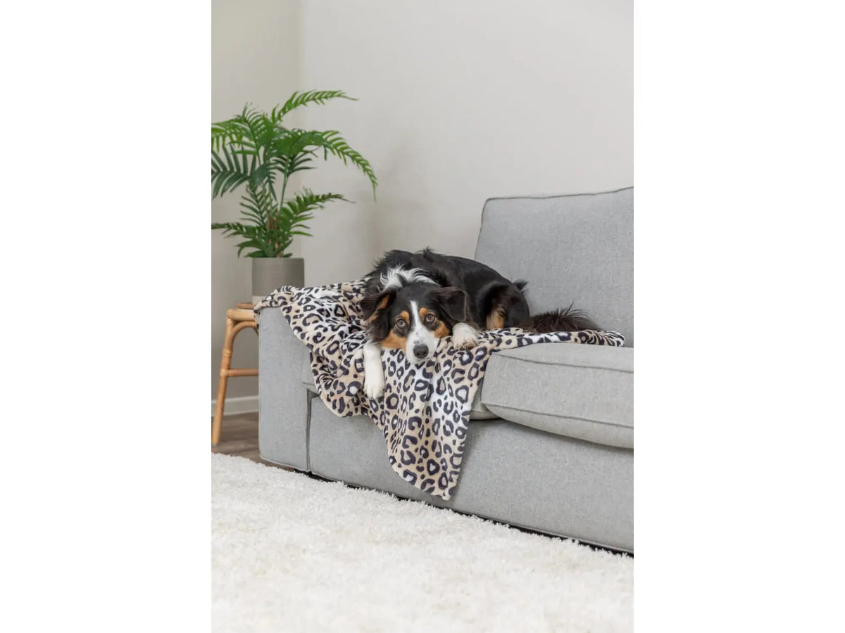 Trixie Leo Teppe Softplysj Leopard Cream