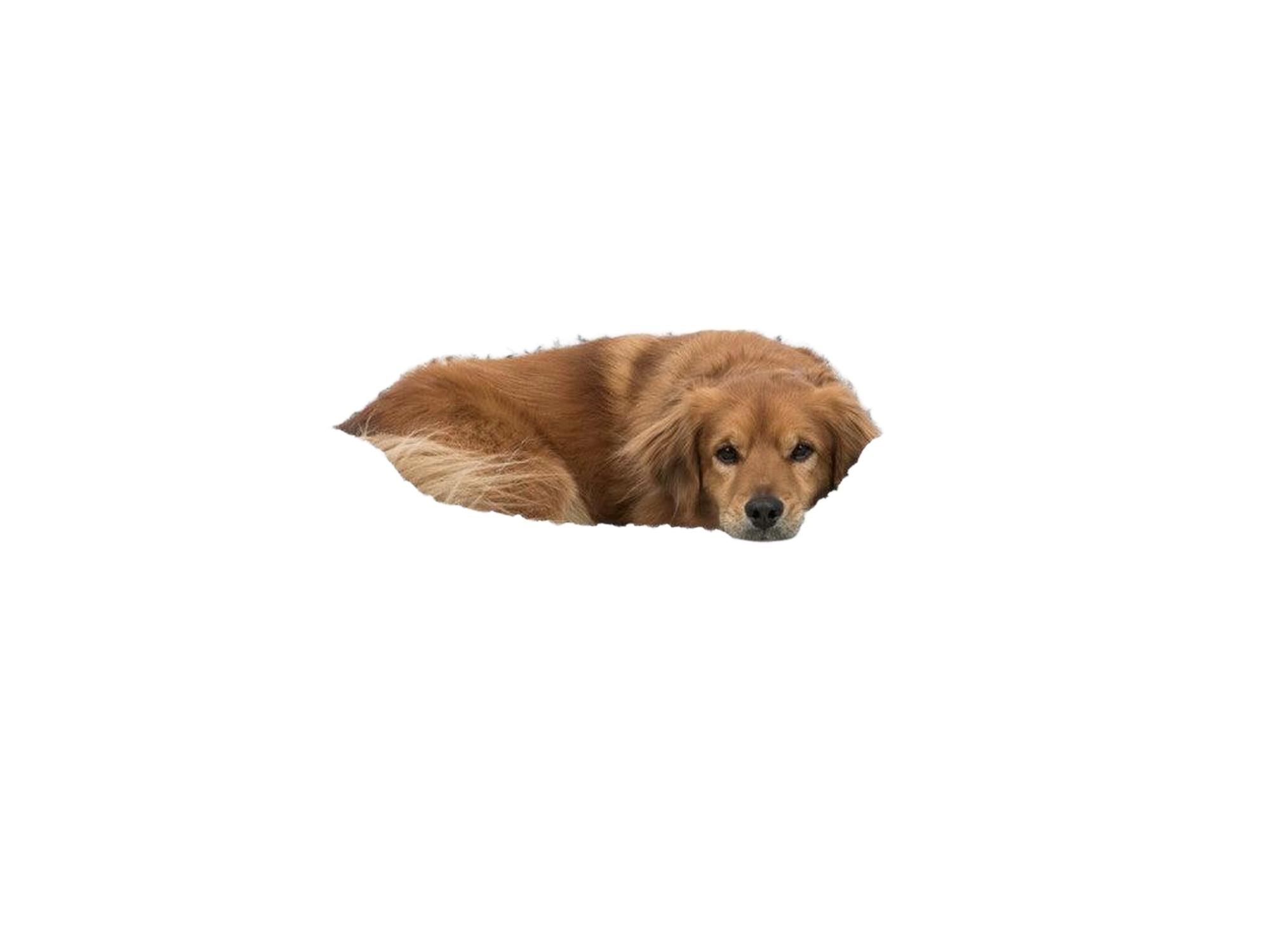 Trixie Lino Vital Ortopedisk Hundeseng