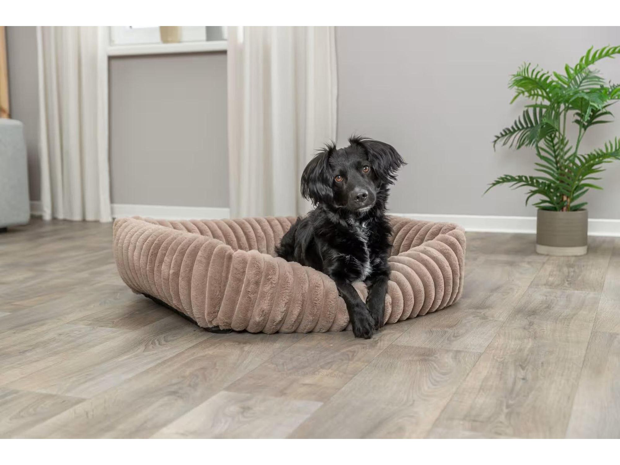 Trixie Lonni Hundeseng Manchester Plysj