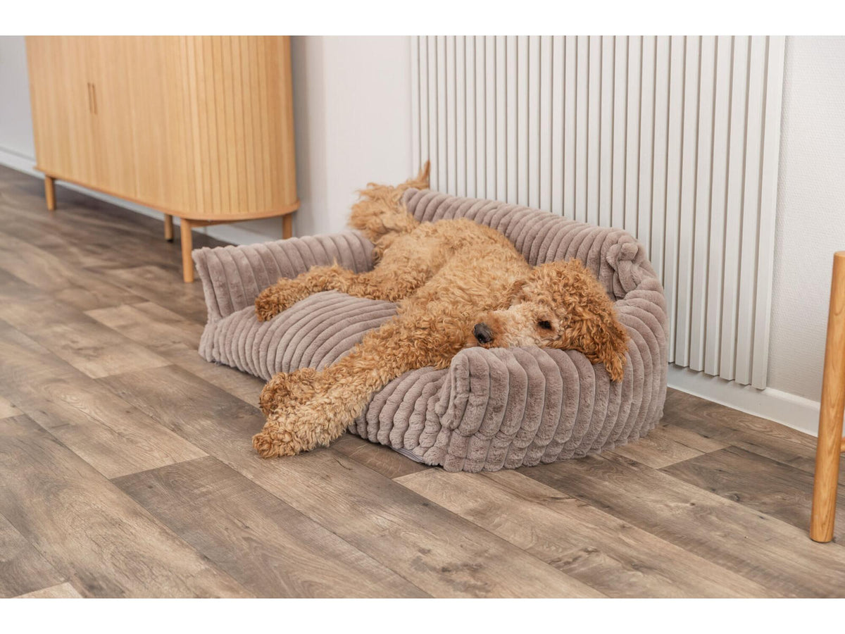 Hund hviler i Lonni Vital Sofa