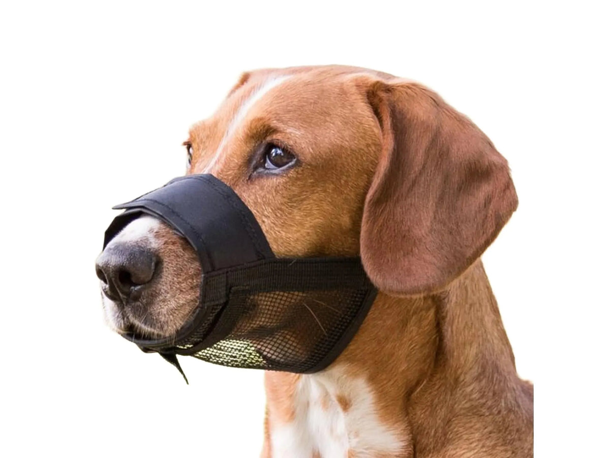 Trixie Munnkurv Nylon med nett ventilert munnkurv til hund