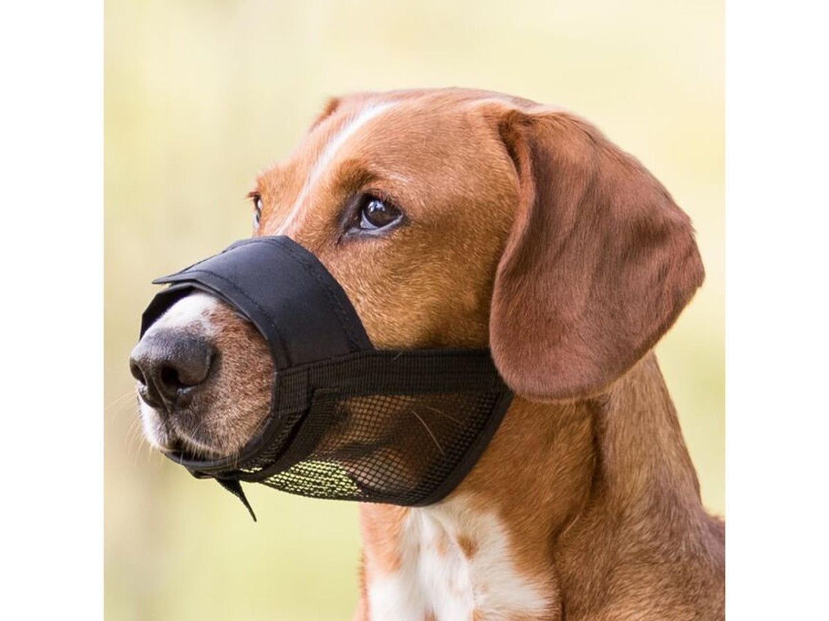 Trixie Munnkurv Nylon med nett ventilert munnkurv til hund