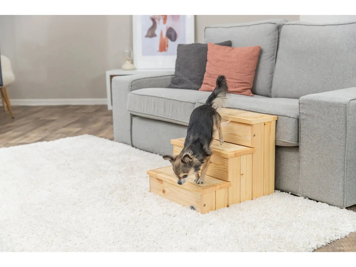 Trixie Petwalk hundetrapp i tre 40 × 38 × 45 cm – med oppbevaring
