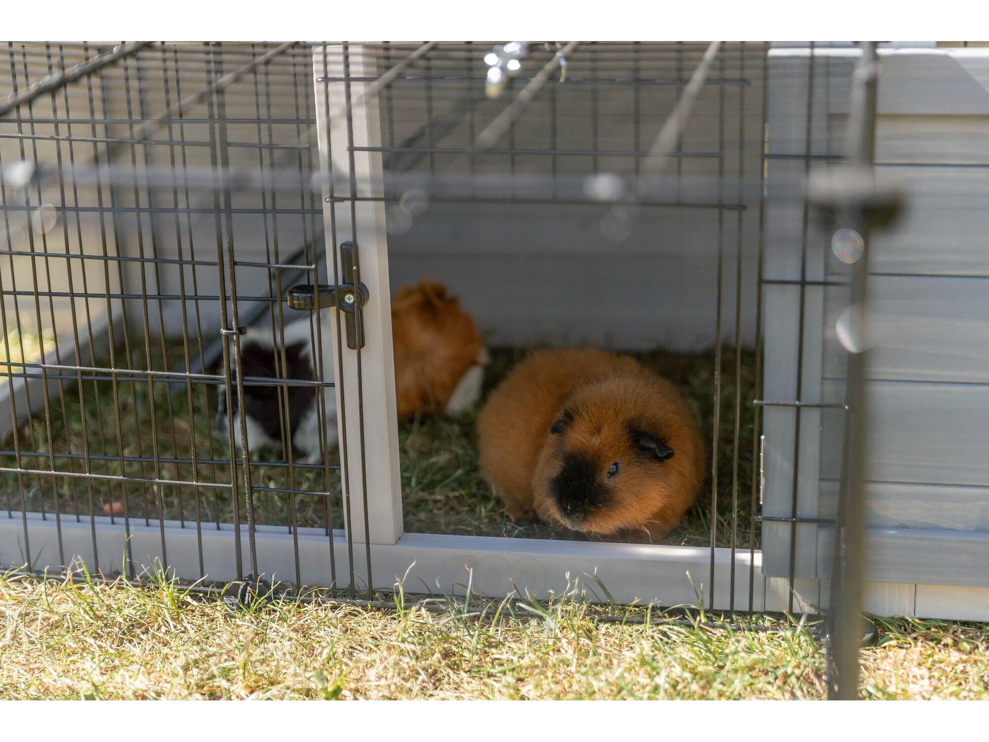 Trixie Small Animal Hutch with Enclosure 175x110x70 cm