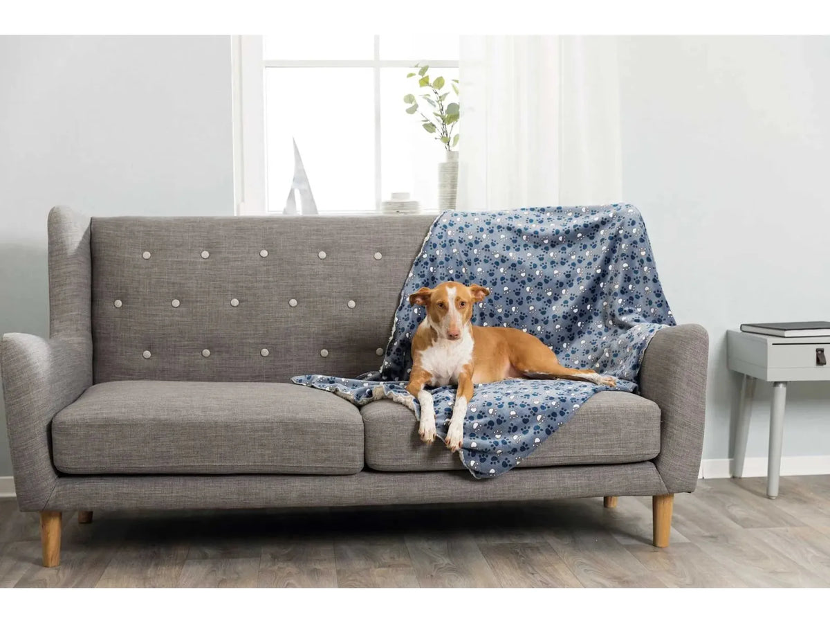 Trixie Tammy Softplysj Teppe Blå med Poter 150 × 100 cm