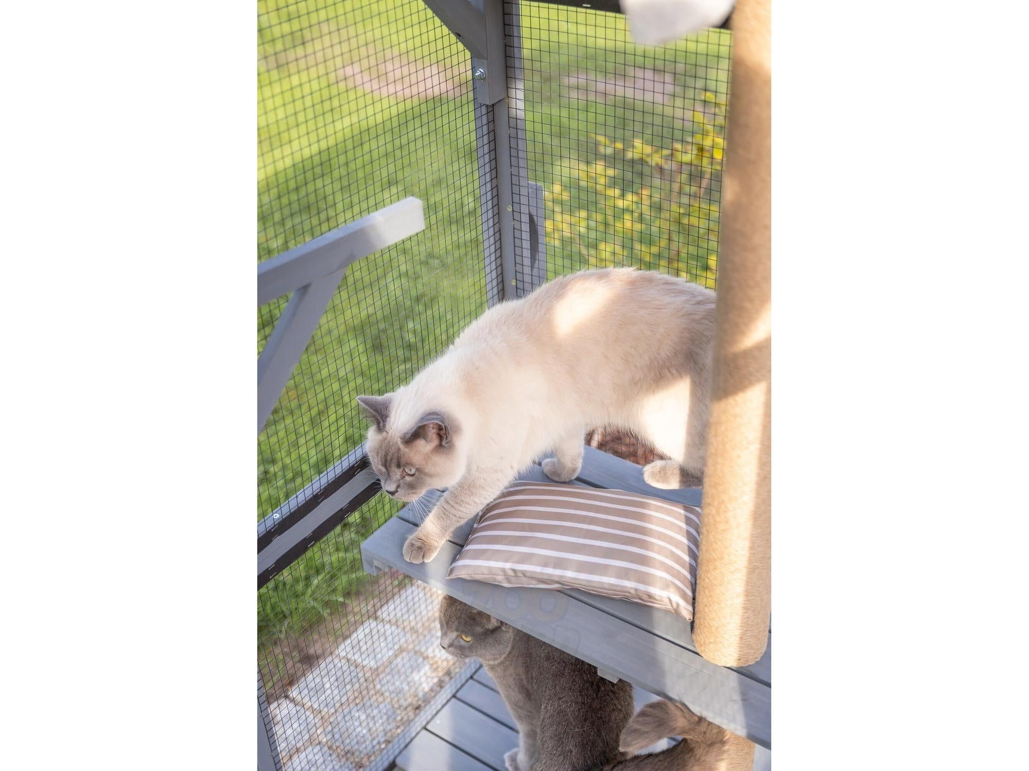 Trixie Utendørs lekegård til Katt 181 × 169 × 88 cm Grå